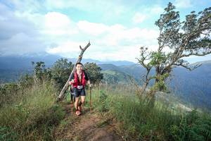 BIB: 
                            <button type="button" onclick="openModal(22373178)" class="btn btn-primary btn-sm float-right btn-popup" data-toggle="modal" data-target=".modal-high-quality">
                        <i class="fas fa-shopping-cart"></i> Add to Cart
                    </button>
                                            <button type="button" onclick="isThisMe(22373178, true)" class="btn btn-success btn-sm float-right btn-popup btn-isme hidden" data-toggle="tooltip" data-placement="bottom" title="นี่คือรูปของคุณใช่ไหม คลิกที่นี่เพื่อเอาเข้าอัลบั้ม">
                        <i class="fas fa-plus"></i> Add to album
                    </button>
                    <button type="button" onclick="isThisMe(22373178, false)" class="btn btn-warning btn-sm float-right btn-popup btn-isnotme hidden">
                        <i class="fas fa-ban"></i> Remove from album
                    </button>